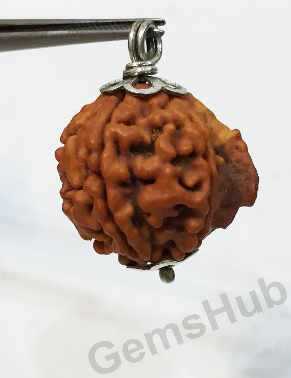 Natural Nepali Ganesh Rudraksha Pendant with Silver (Chandi) Capping